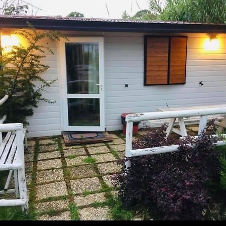 Oasi Di Francesca B&B Pontinia Ngoại thất bức ảnh