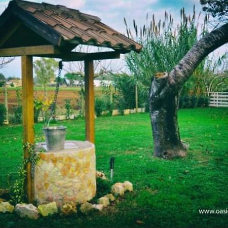 Oasi Di Francesca B&B Pontinia Ngoại thất bức ảnh