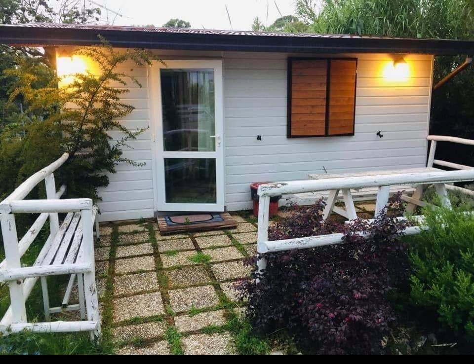 Oasi Di Francesca B&B Pontinia Ngoại thất bức ảnh
