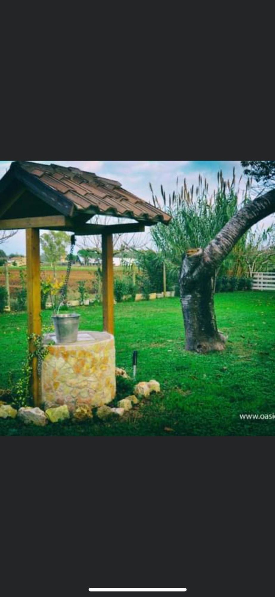Oasi Di Francesca B&B Pontinia Ngoại thất bức ảnh