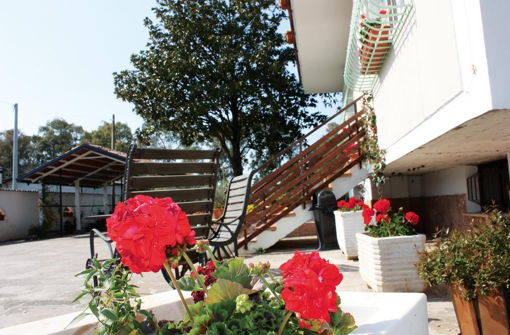 Oasi Di Francesca B&B Pontinia Phòng bức ảnh