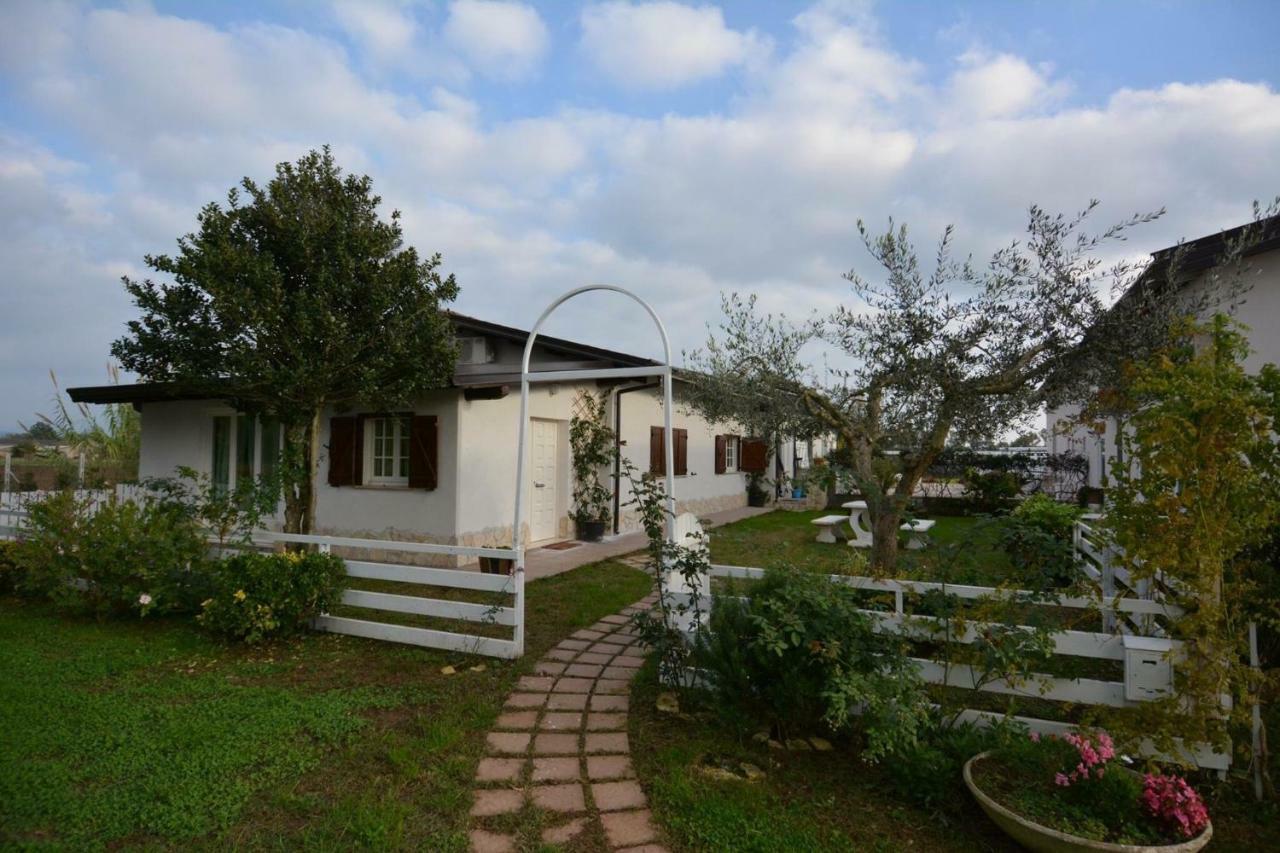 Oasi Di Francesca B&B Pontinia Ngoại thất bức ảnh